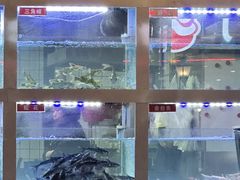 -石锅苗苗鱼(武汉首店)