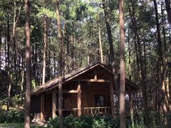 -重庆雨台山风景区