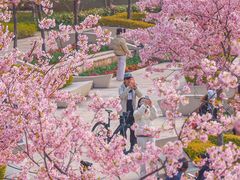 -新江湾城公园