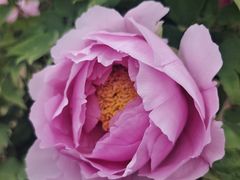 -玄武湖景区-情侣园游乐场