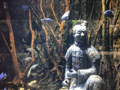 -华夏文旅西安度假区