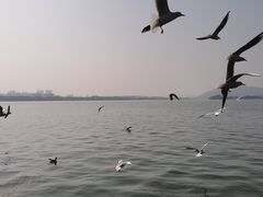 -蠡湖大桥公园