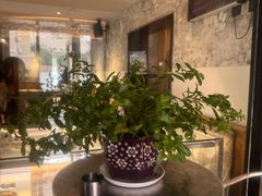 -T1Y2糖一盐二·桂林路店