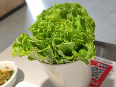 -古乐牛香·鲜牛肉牛杂火锅(千灯店)
