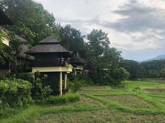 -四季酒店下午茶