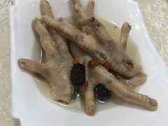药膳鸡脚-丰尔粥食·顺德鱼生·干蒸排骨顺德菜(大良分店)