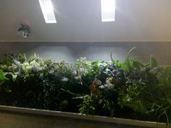 -苏格里岛·自助烤肉·火锅海鲜(金鼎广场店)