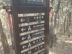 -金龙寺国家森林公园