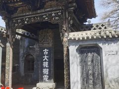 -大槐树寻根祭祖园