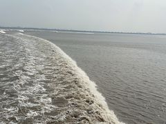-观潮胜地公园