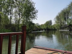 -溱湖国家湿地公园