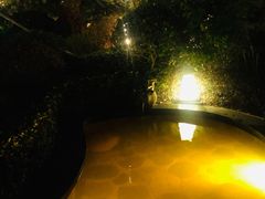 -溧阳天目湖天沐温泉