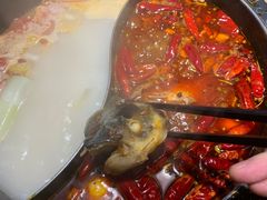 -销魂美蛙鱼头火锅(上海首店)