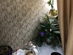 -泰坤堂东馆中西医结合门诊部(塘桥店)
