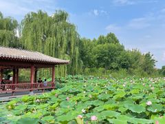 -云居湖