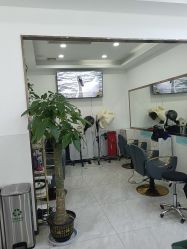 -臻艾Hair Salon