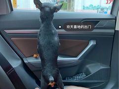 -申普宠物医院·心脏介入·心血管微创(总院)