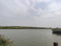 -西青郊野公园