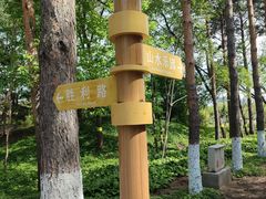 -黑龙江省森林植物园