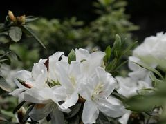 -越秀公园(地铁站)