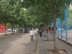 -西北农林科技大学(北校区)