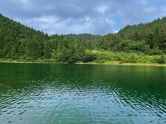 -武陵山森林公园