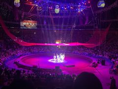 -俄罗斯国家大马戏团