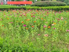 -南京财经大学(仙林校区)