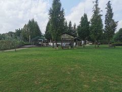 -田园东方蜜桃村的田野营地