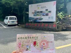 -四明山国家森林公园