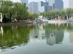 -团结湖公园