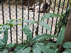 -深圳野生动物园