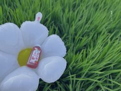 -径山花海
