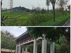 -文华公园(禅城区)