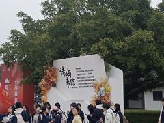 -江心屿景区