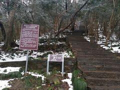 -紫金山山顶公园