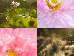 -广州莲花山旅游区