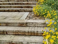 -缥缈峰景区