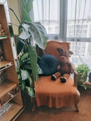 -七月美睫 美甲