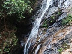 -梧桐山风景名胜区