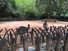 -深圳野生动物园