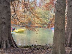 -上海海湾国家森林公园