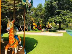 -卓悦童国际幼儿园