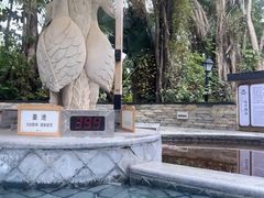 -碧水湾温泉