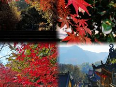 -杭州上天竺法喜讲寺