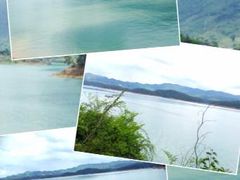 -广州市流溪河国家森林公园