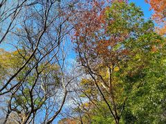 -上海佘山国家森林公园西佘山园