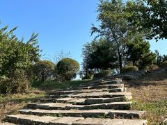 -莫子山公园