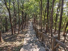 -梧桐山风景名胜区