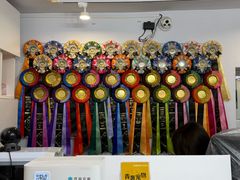 -青奢宠物·青奢猫舍